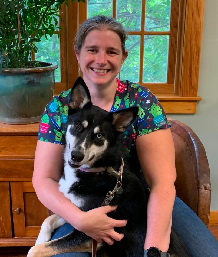 Experienced Veterinarians Lyme Animal Hospital